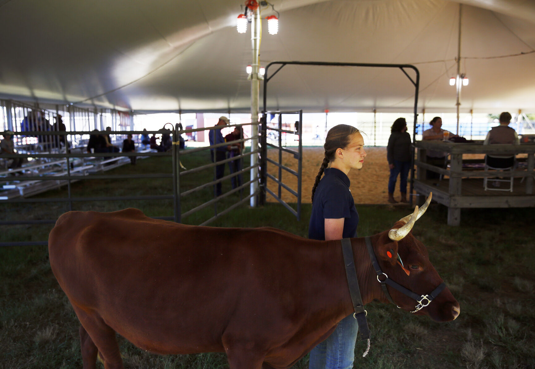 State Fair of Virginia